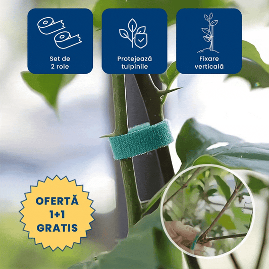 1+1 GRATIS: PlantBand – Bandă cu Arici pentru Susținerea Plantelor