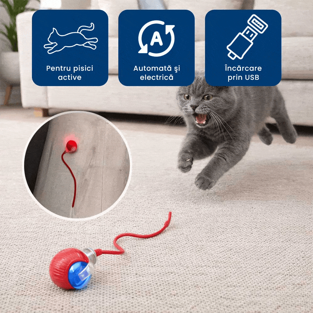 PisiRoll Fun – Jucărie Inteligentă cu LED pentru Pisici Active