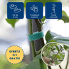 1+1 GRATIS: PlantBand – Bandă cu Arici pentru Susținerea Plantelor