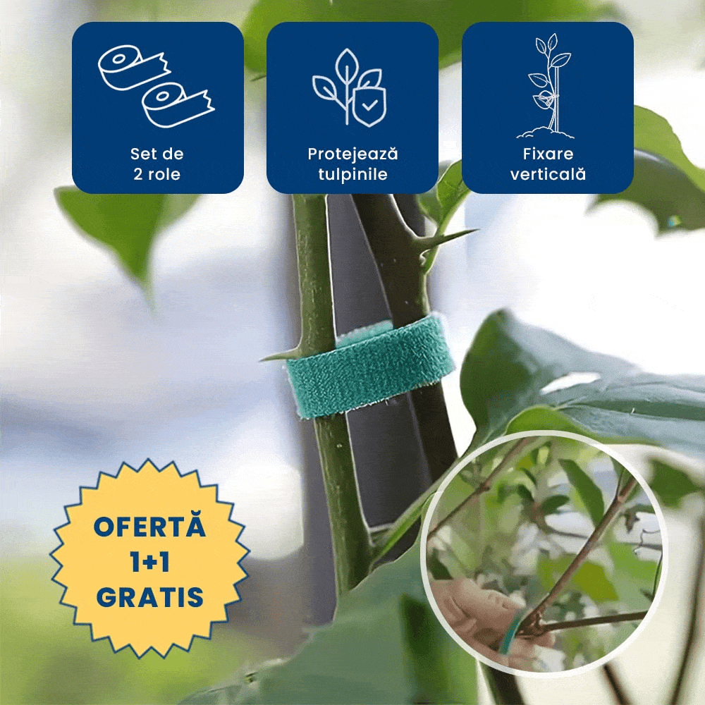 1+1 GRATIS: PlantBand – Bandă cu Arici pentru Susținerea Plantelor