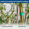 1+1 GRATIS: PlantBand – Bandă cu Arici pentru Susținerea Plantelor