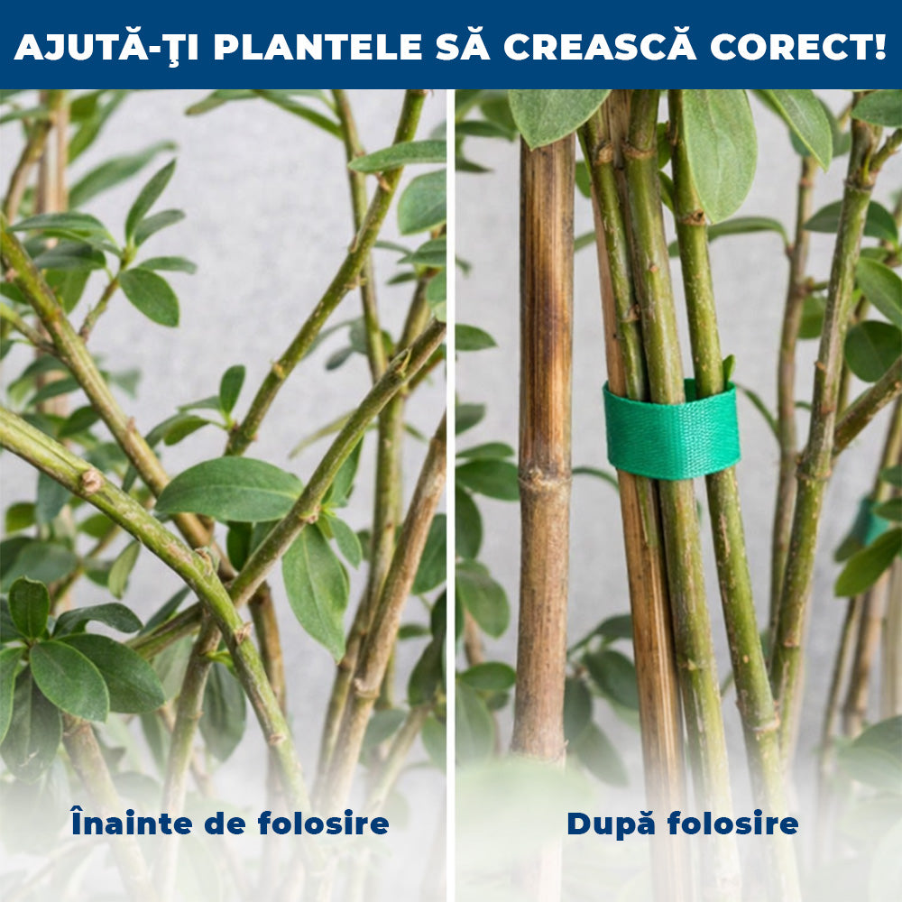 1+1 GRATIS: PlantBand – Bandă cu Arici pentru Susținerea Plantelor