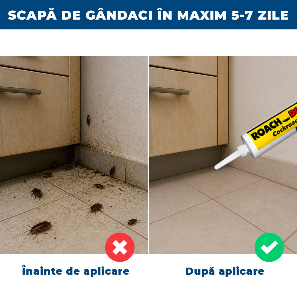 GândaStop Pro – Gel Insecticid în Seringă pentru Eliminarea Gândacilor