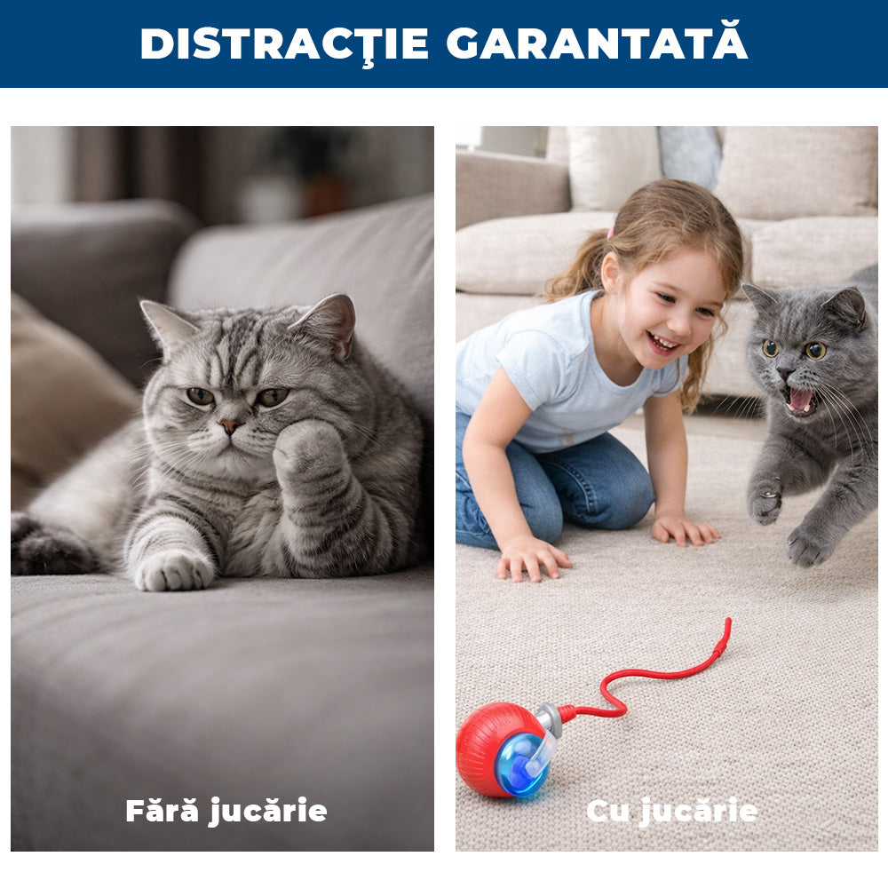 PisiRoll Fun – Jucărie Inteligentă cu LED pentru Pisici Active