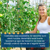 1+1 GRATIS: PlantBand – Bandă cu Arici pentru Susținerea Plantelor